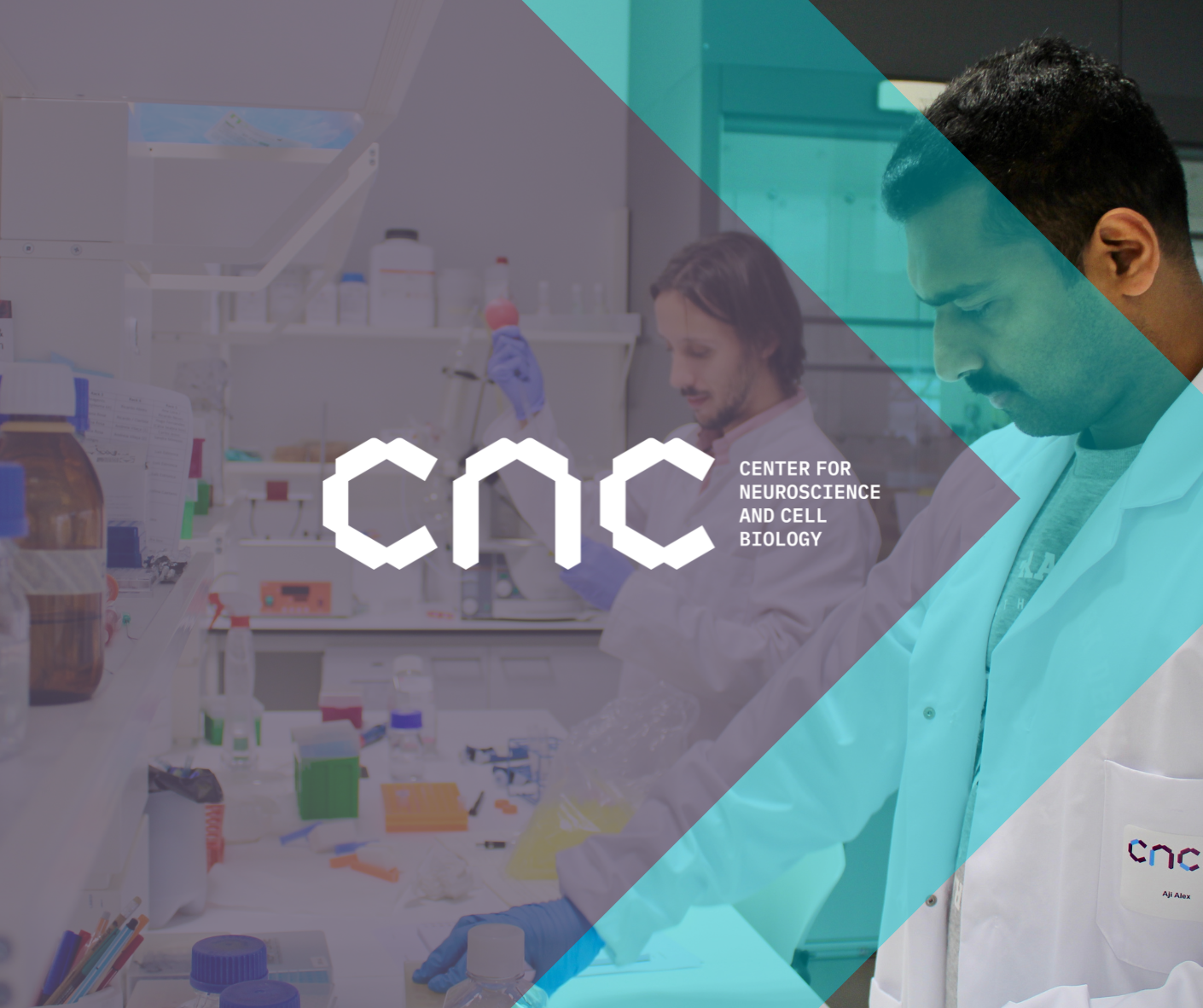 cnc-tem-12-cientistas-na-lista-world-s-top-2-scientists-2022-cnc-uc